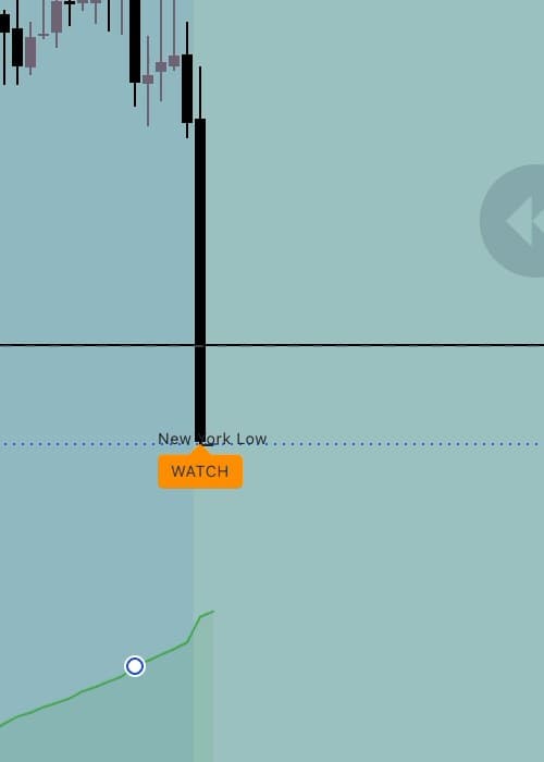 A WATCH marker at a fresh low, just below the New York Low line.